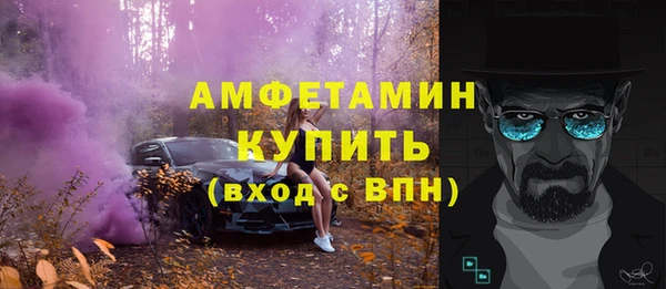 дживик Краснослободск