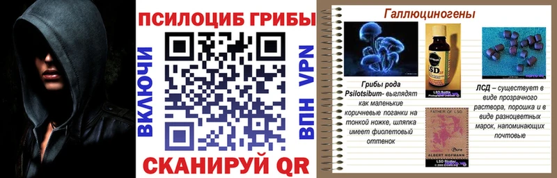 Галлюциногенные грибы Psilocybe как найти Нягань